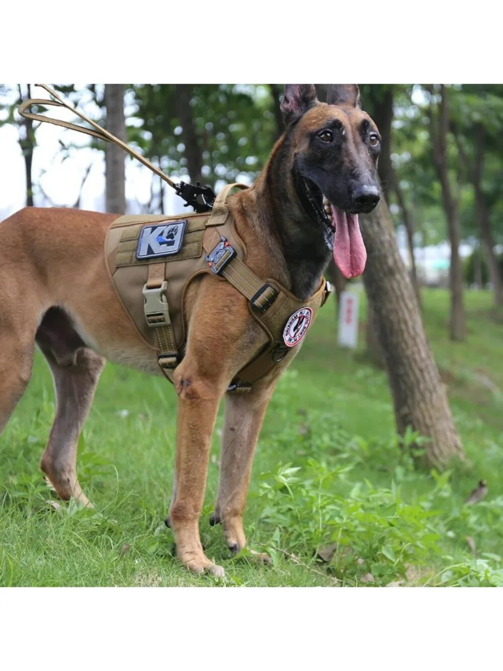 Reflective No-Pull Tactical Dog Harness for Large Breeds - Adjustable